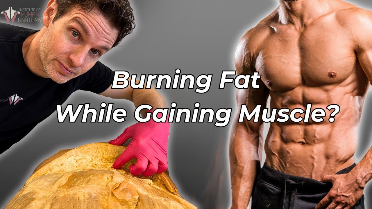 how to burn fat and build muscle at the same