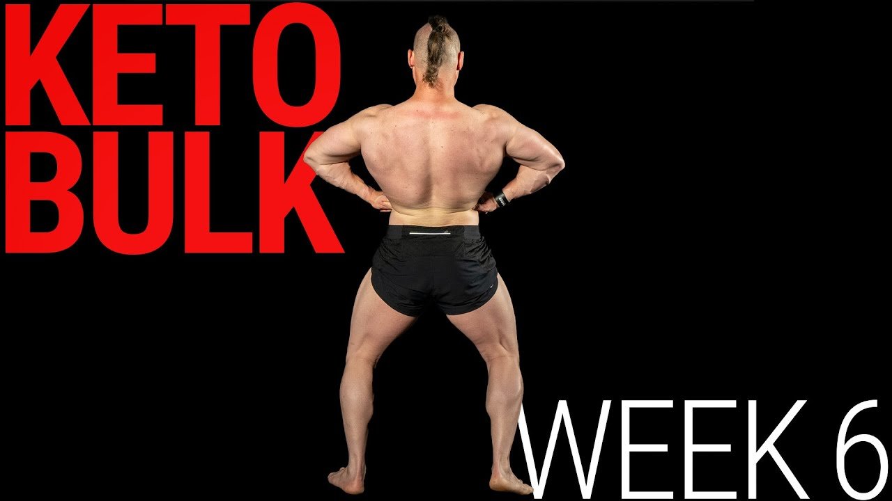 🔥keto bulk series | week 6